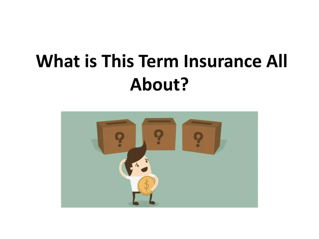 what is this term insurance all about