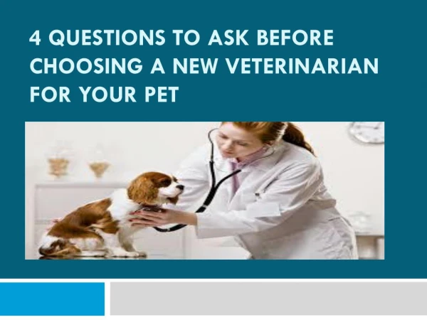 4 Questions to ask before choosing a new veterinarian for your pet