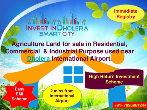 Dholera SIR Agriculture land for sale