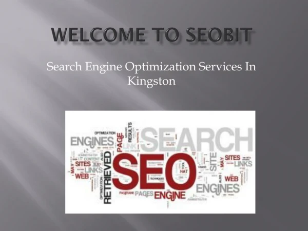 Kingston SEO