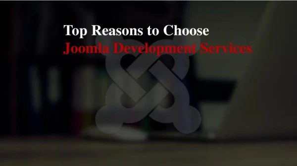 Top Reasons to Choose Joomla Development Services