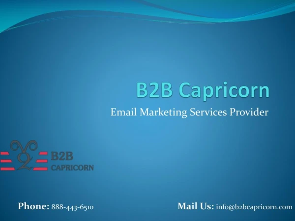 Email Marketing Services Provider - B2B Capricorn