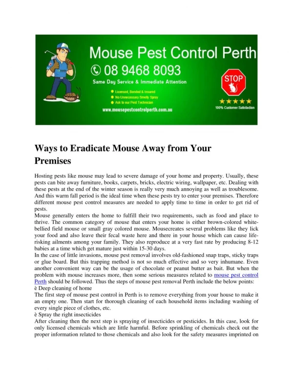 Mouse Pest Control Perth