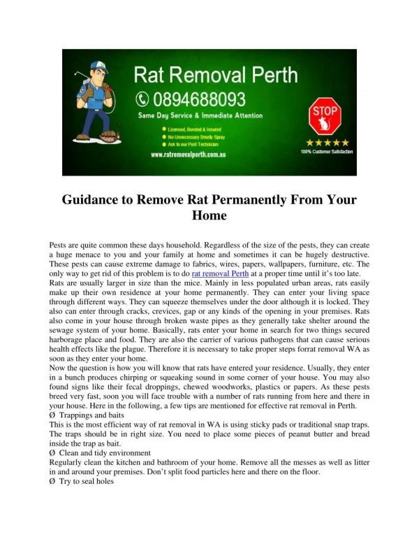 Rat Removal Perth