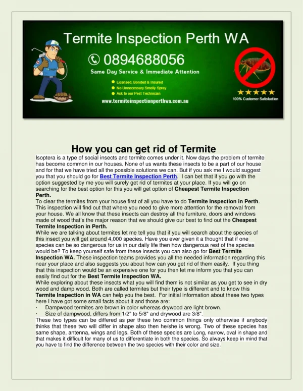 Termite Inspection Perth WA