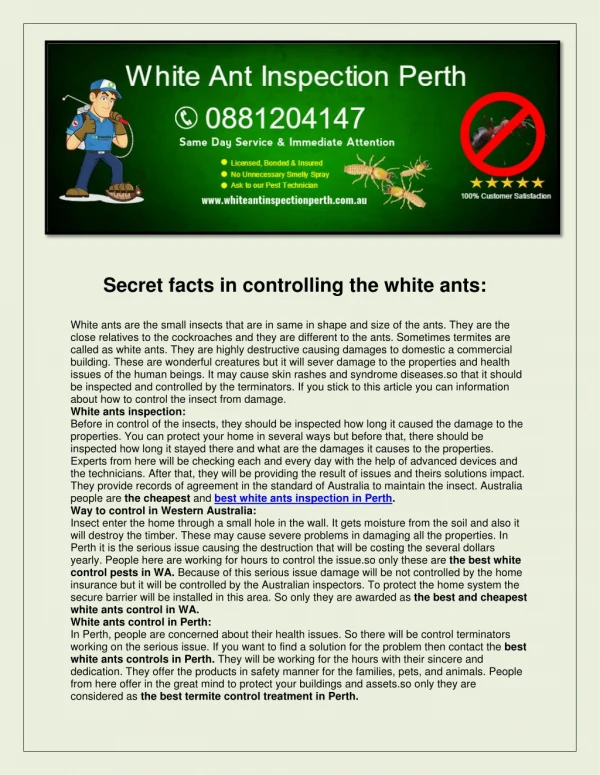 White Ant Inspection Perth