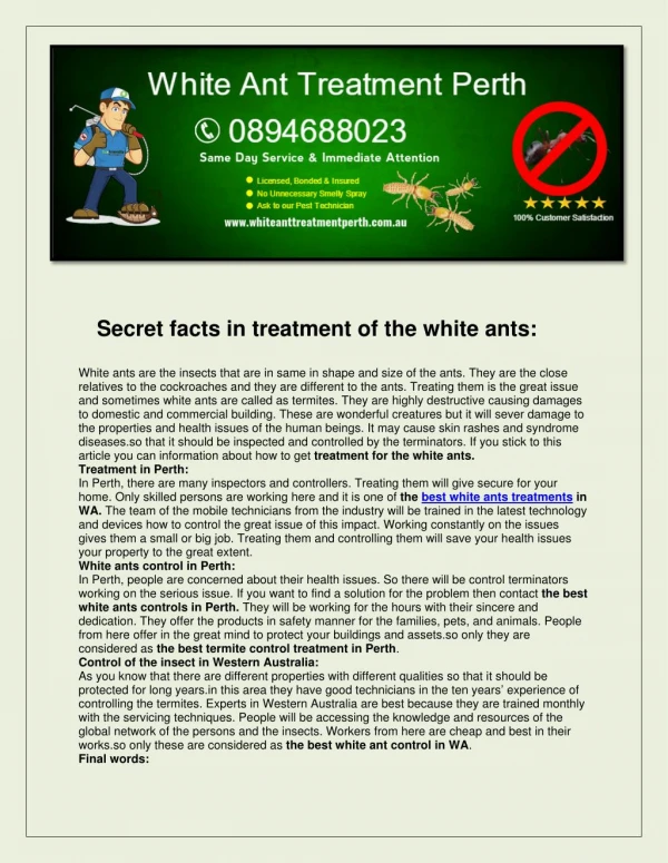 White Ant Treatment Perth
