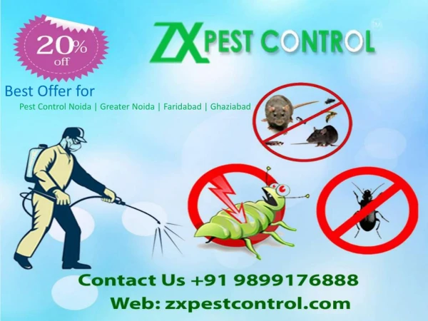 Best Offer- Pest Control Noida Call us 9899176888