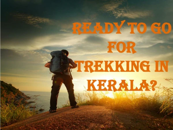 Enjoy Trekking in Kerala