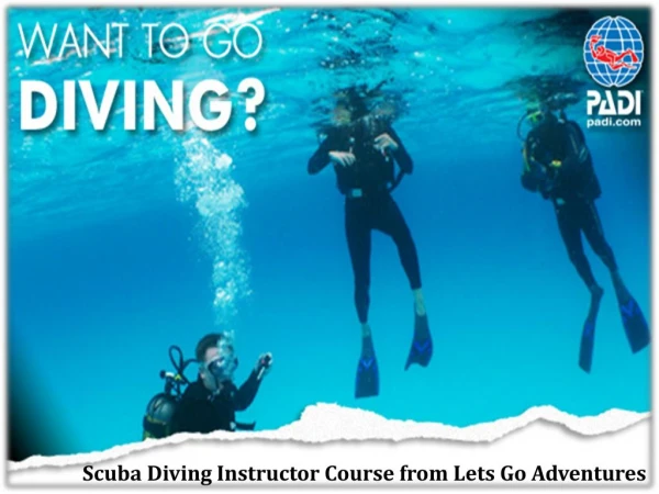 Professional Association of Diving Instructors in Australia