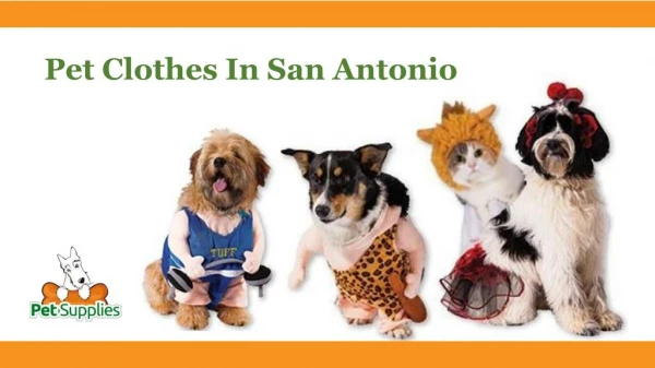 Pet Clothes In San Antonio