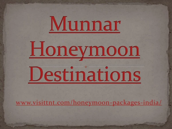 Munnar - Best Honeymoon Place in india