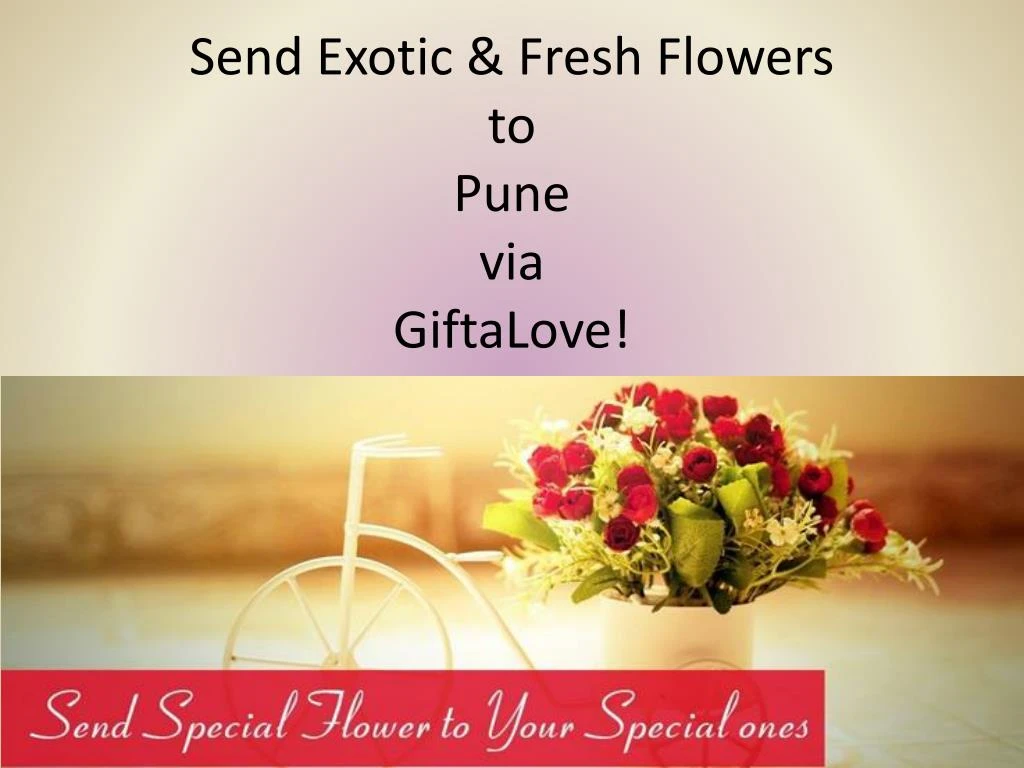 send exotic fresh flowers to pune via giftalove