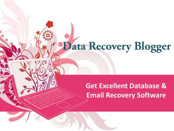 Computer Data Recovery Blogger