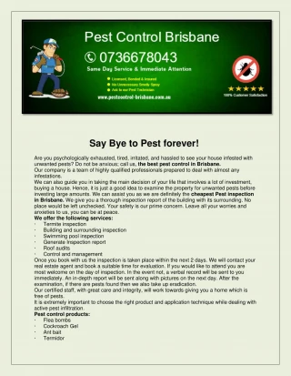 Pest Control Brisbane - slide 1