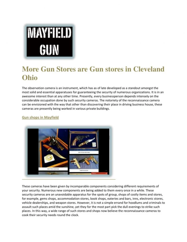 Cleveland gun store Ohio