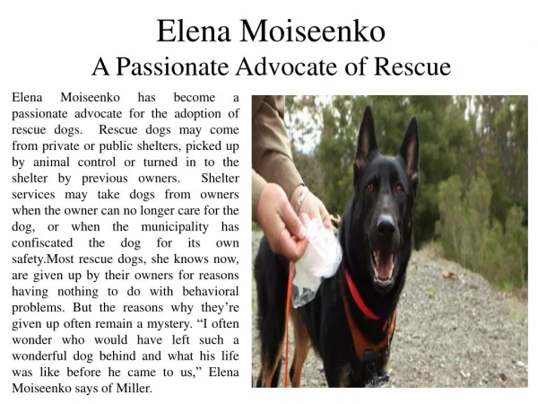 Elena Moiseenko a Passionate Advocate of Rescue