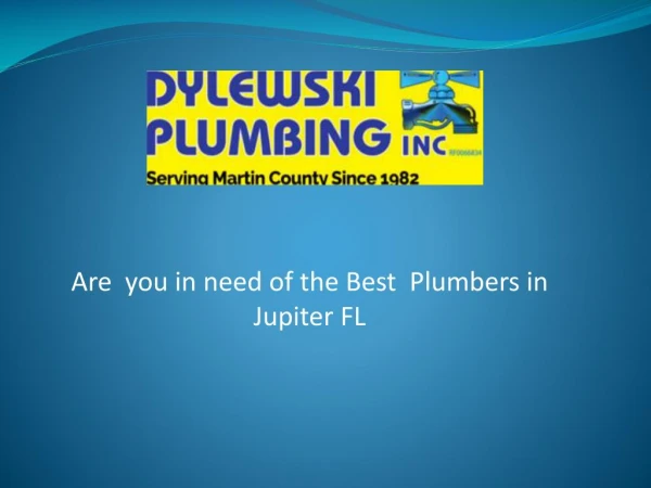 Are you in need of the best plumbers in Jupiter FL