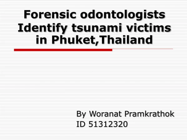 forensic odontologists identify tsunami victims in phuket thailand
