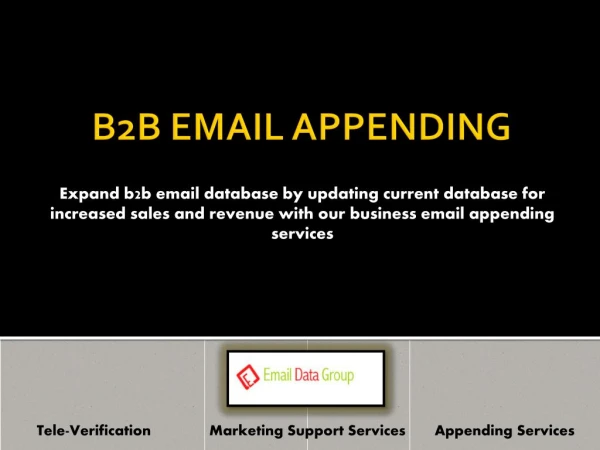 Business Email Appending Services