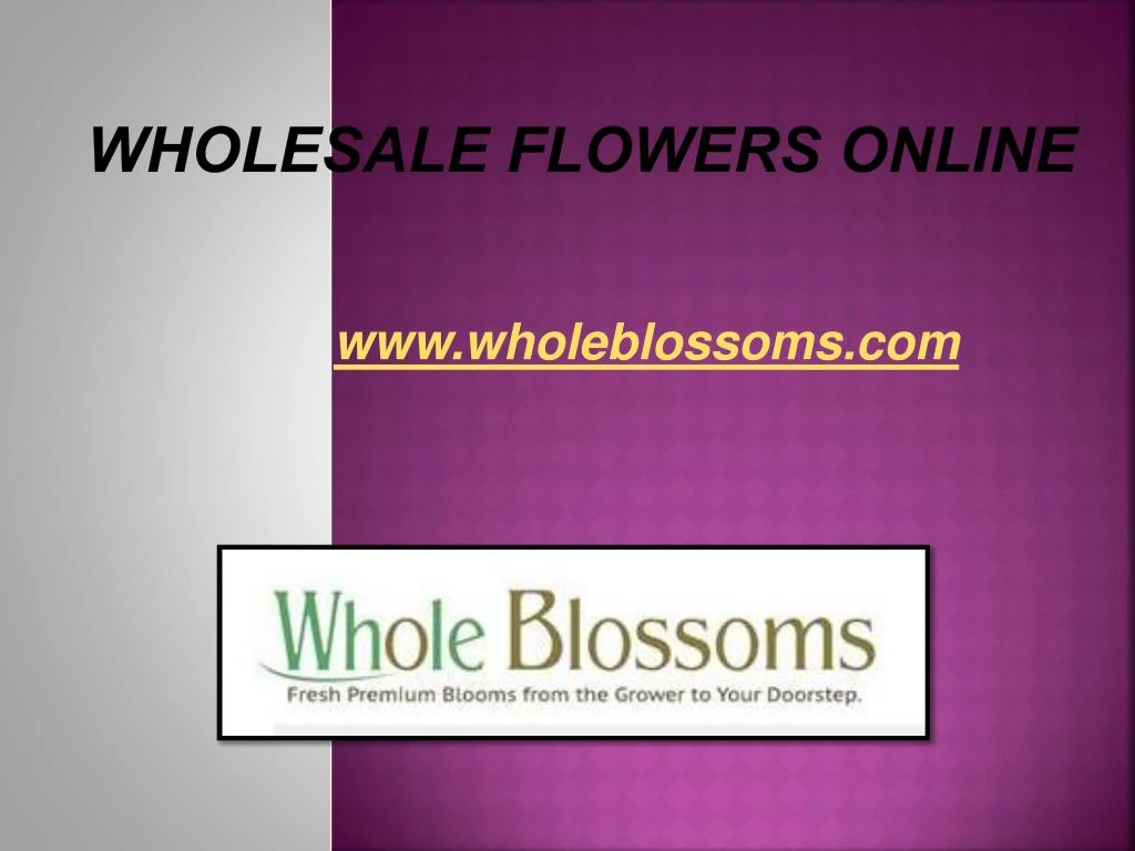 wholesale flowers online
