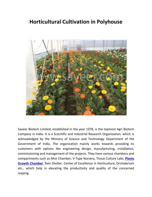 Horticultural Cultivation in Polyhouse