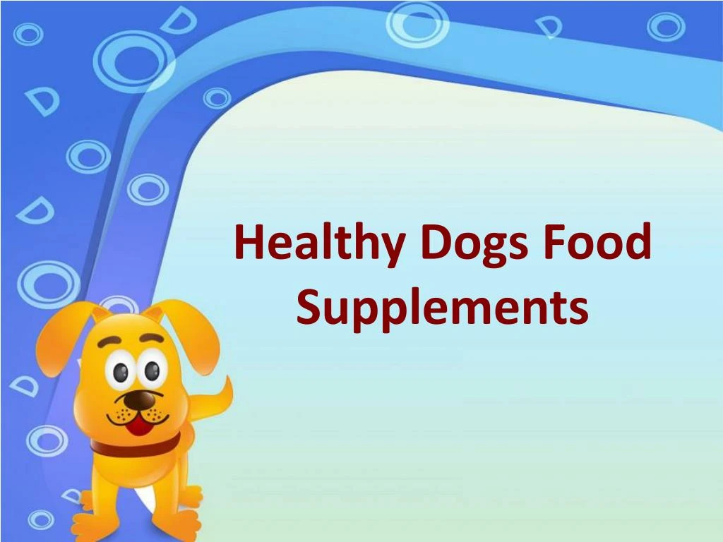 healthy dogs food supplements