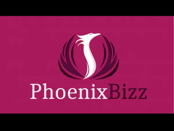 PhoenixBizz - Our Unique Value Proposition