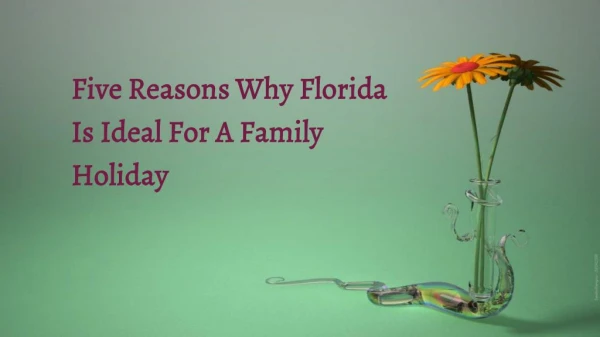 Five Reasons Why Florida Is Ideal For A Family Holiday | Book vista cay resort