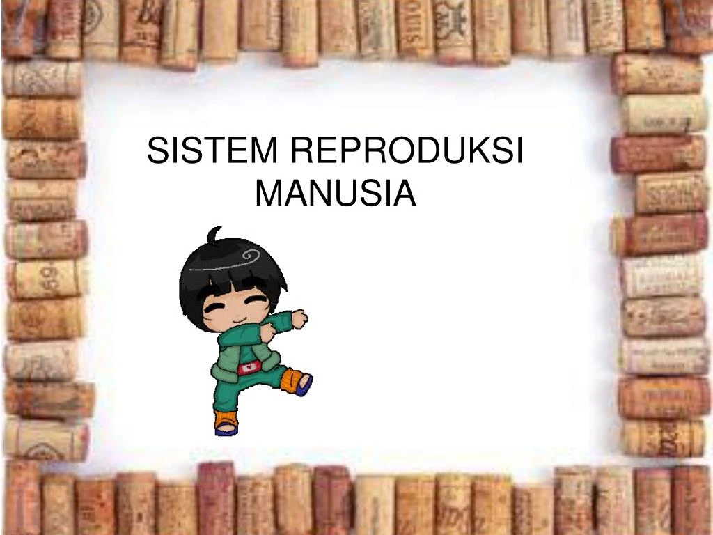 sistem reproduksi manusia