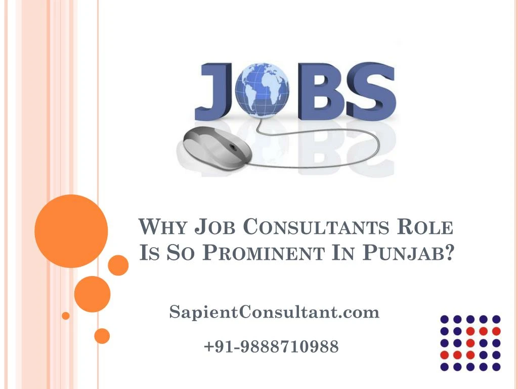 why job consultants role is so prominent in punjab