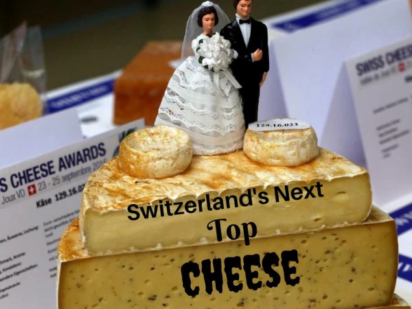 Switzerland's Next Top Cheese