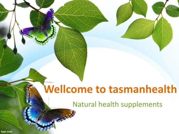 tasmanhealth.co.nz | Nature's Way Myco Defense