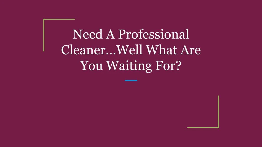 need a professional cleaner well what are you waiting for