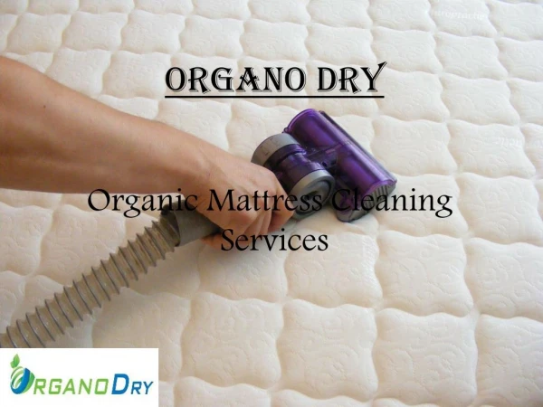Organic Mattress Cleaning Services | Bed Cleaning Service Delhi