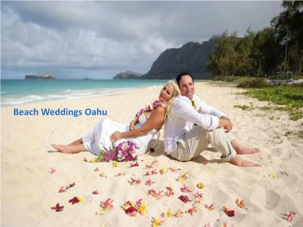 The Best Wedding Ever Oahu beach Weddings