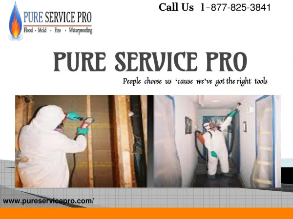 50 Years Providing Waterproofing and Restoration Services-PureServicePro