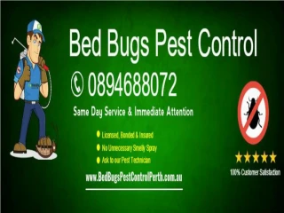 Bed Bugs Pest Control - slide 1