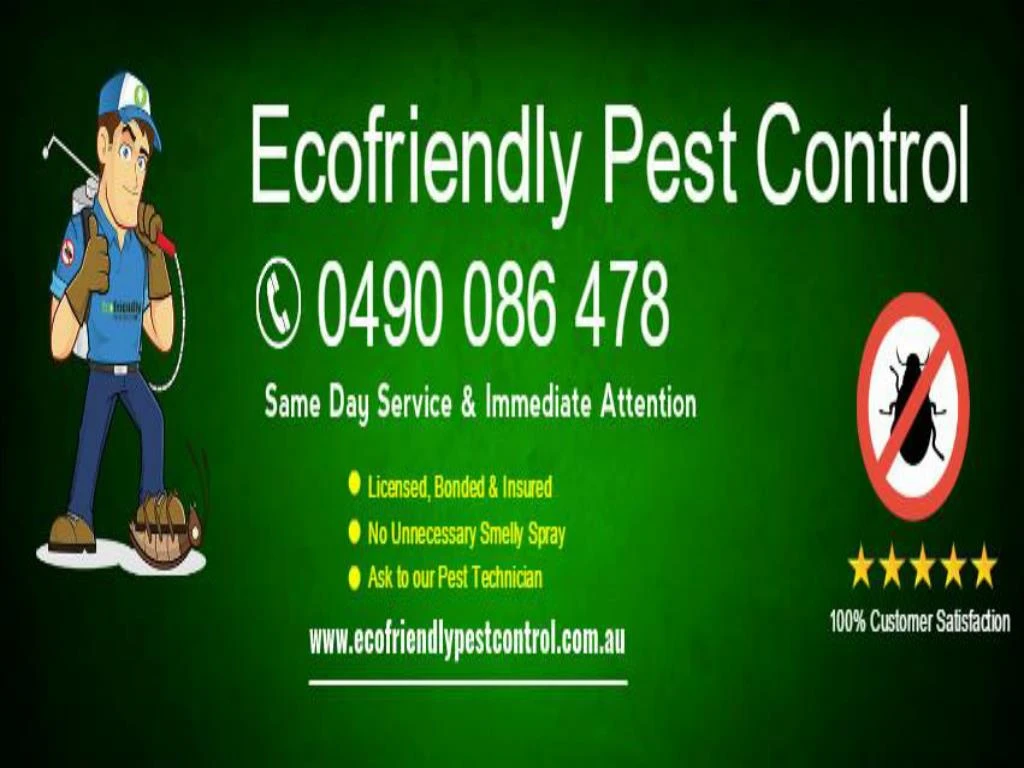 ecofriendly pest control