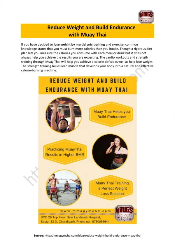 Reduce Weight and Build Endurance with Muay Thai - Kings Academy