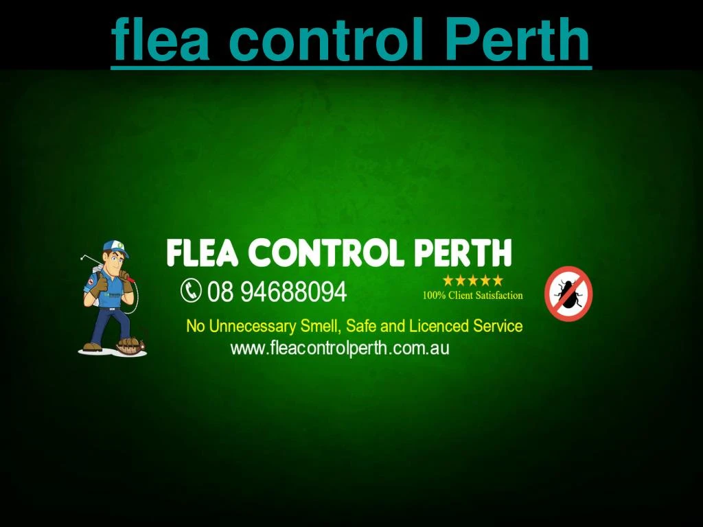 flea control perth