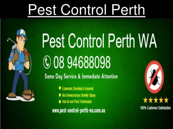 Pest Control Perth WA