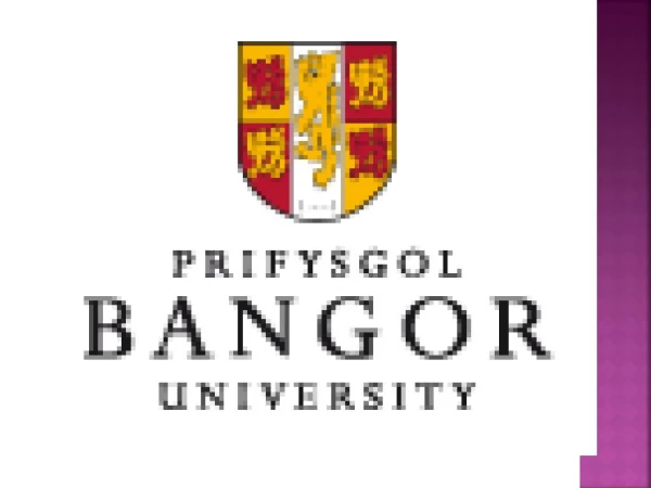 Bangor University Consultants - Global Opportunities Delhi