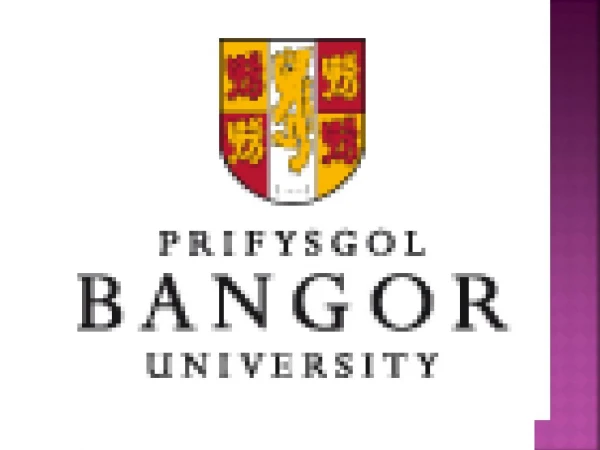 Bangor University Study Consultants - Global Opportunities Delhi India