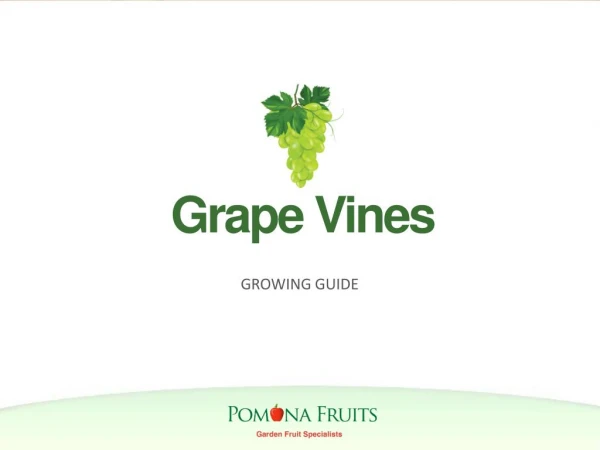 Grape Vines Growing Guide