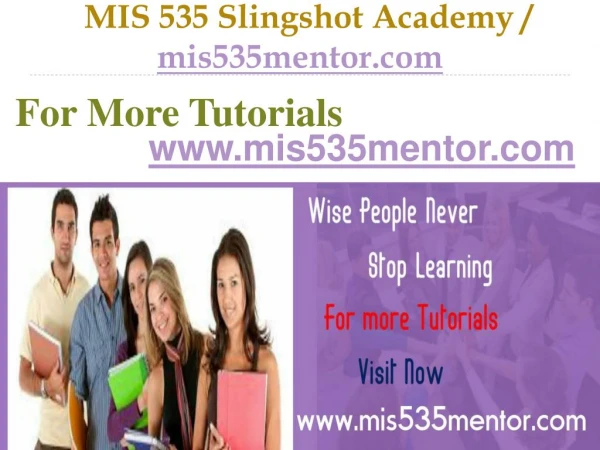 MIS 535 Slingshot Academy / mis535mentor.com