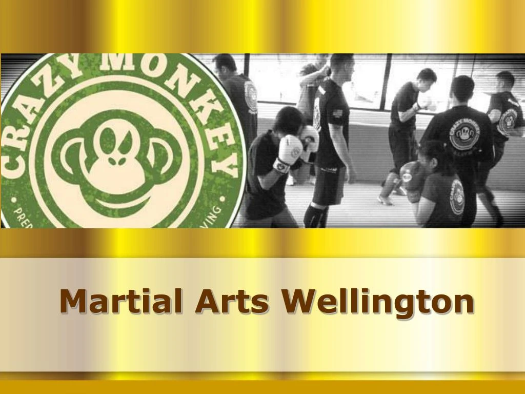 martial arts wellington