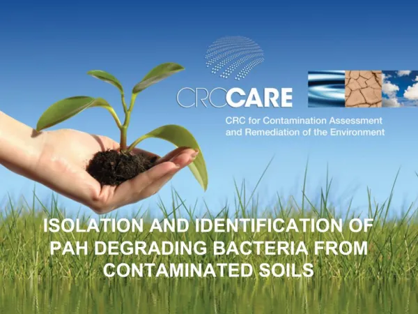 ISOLATION AND IDENTIFICATION OF PAH DEGRADING BACTERIA FROM CONTAMINATED SOILS