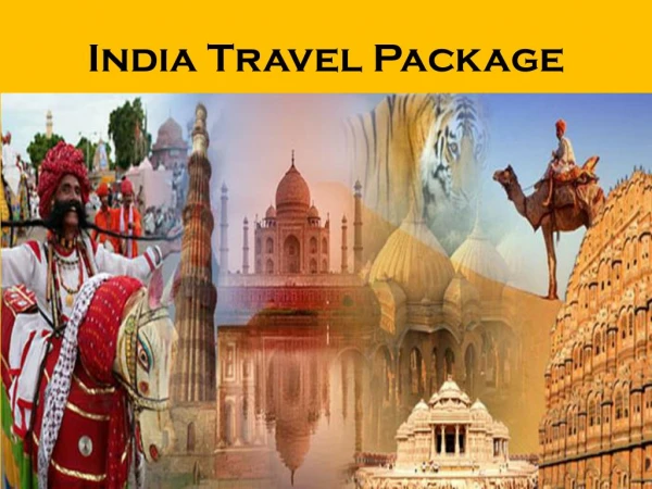 Are You Looking to Purchase India Travel Package?
