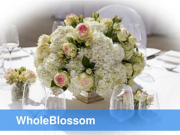 Wholesale Flowers - www.wholeblossoms.com